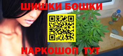 шишки Изобильный