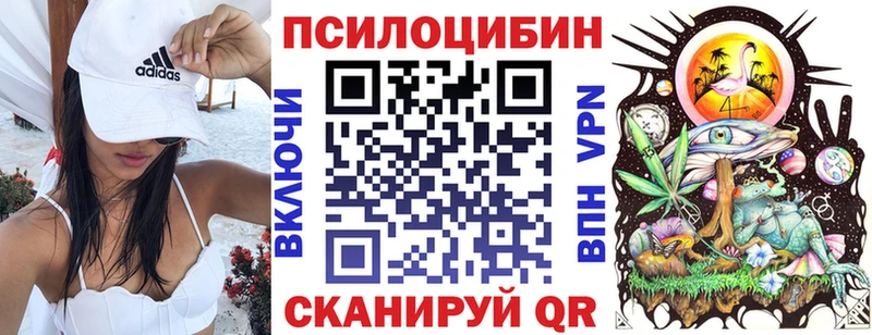 закладки Кунгур Псилоцибиновые грибы GOLDEN TEACHER