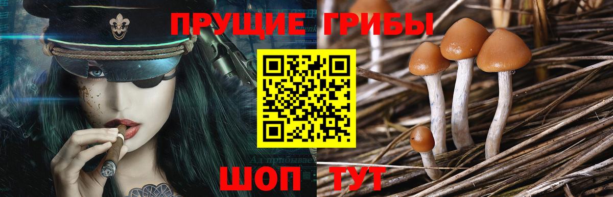 Галлюциногенные грибы Magic Shrooms Кунгур