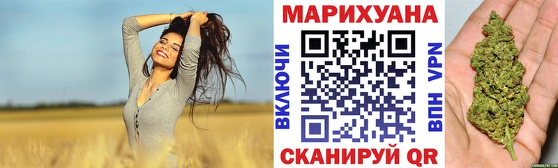 Бошки Шишки план Кунгур
